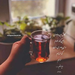 دانلود آهنگ شیر علی مردون با صدای پریماه MP3