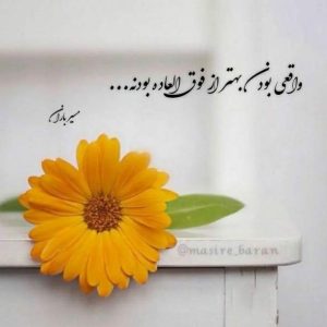 دانلود آهنگ می زدم لولم مست و شنگولم با صدای نصرالله واحدی