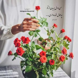 آهنگ گل پونه های وحشی دشت امیدم ایرج بسطامی MP3