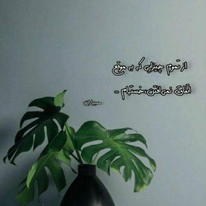 آهنگ منه قلبم یه نفر دارو ندارم یه نفر با صدای محسن احمدی