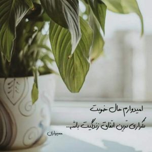 ریمیکس آهنگ تورو دیده رد داده قلبم با صدای بچه MP3