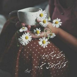 دانلود آهنگ لری شیر علی مرودن با صدای لیلا محمد شاهی MP3