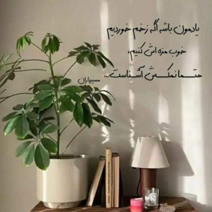 دانلود آهنگ در سکوت شب خانه زد فریاد با صدای زن MP3
