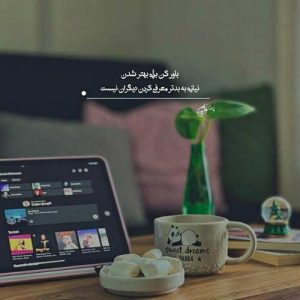 آهنگ جناب سروان نزن قلبم ضعیفه با صدای سرباز