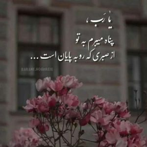 آهنگ مثلا روم زوم کنی زانکو ریمیکس دی جی حیمد خارجی و کهزاد تهرانی